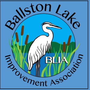 BLIA-Ballston-Lake-Improvement-Association
