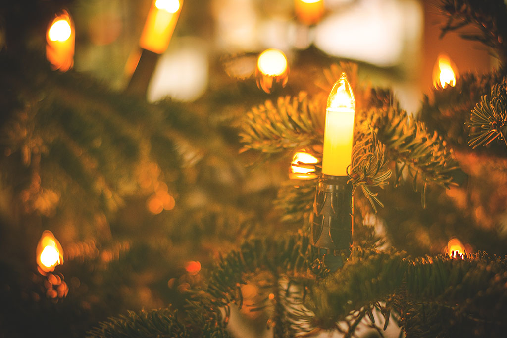 bh-bl-annual-holiday-tree-lighting